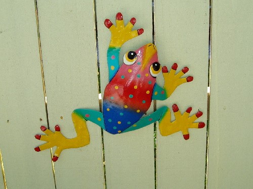 13" Felipe Frog Wall Decor